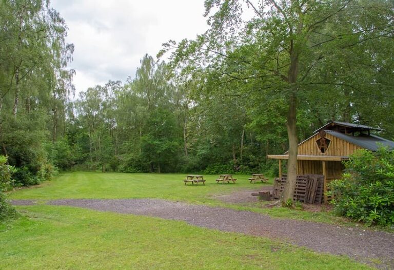 alfs-site