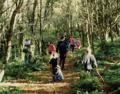 walk1