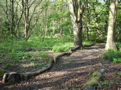 walk3