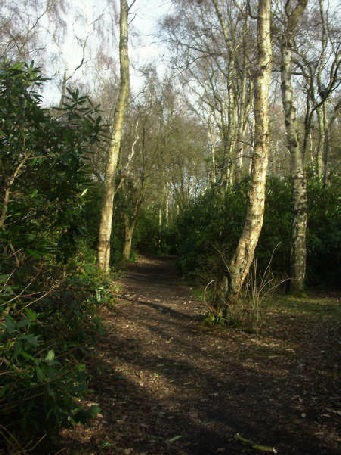 walk4